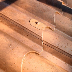 Isodomus