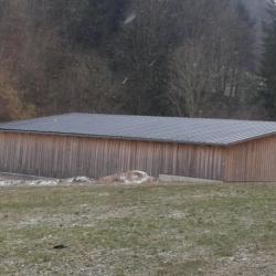 Trapezblech T-4 Hosekra in Ral 6020 auf Satteldach