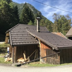 Hosekra gladka rjava strešna krtina