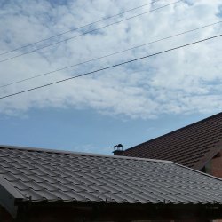 Stratos kritina na nadstrešku