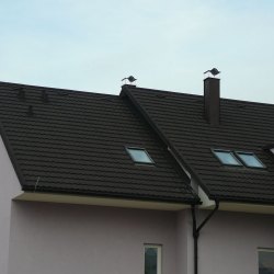 Streha s strešnimi okni in kritino Hosekra